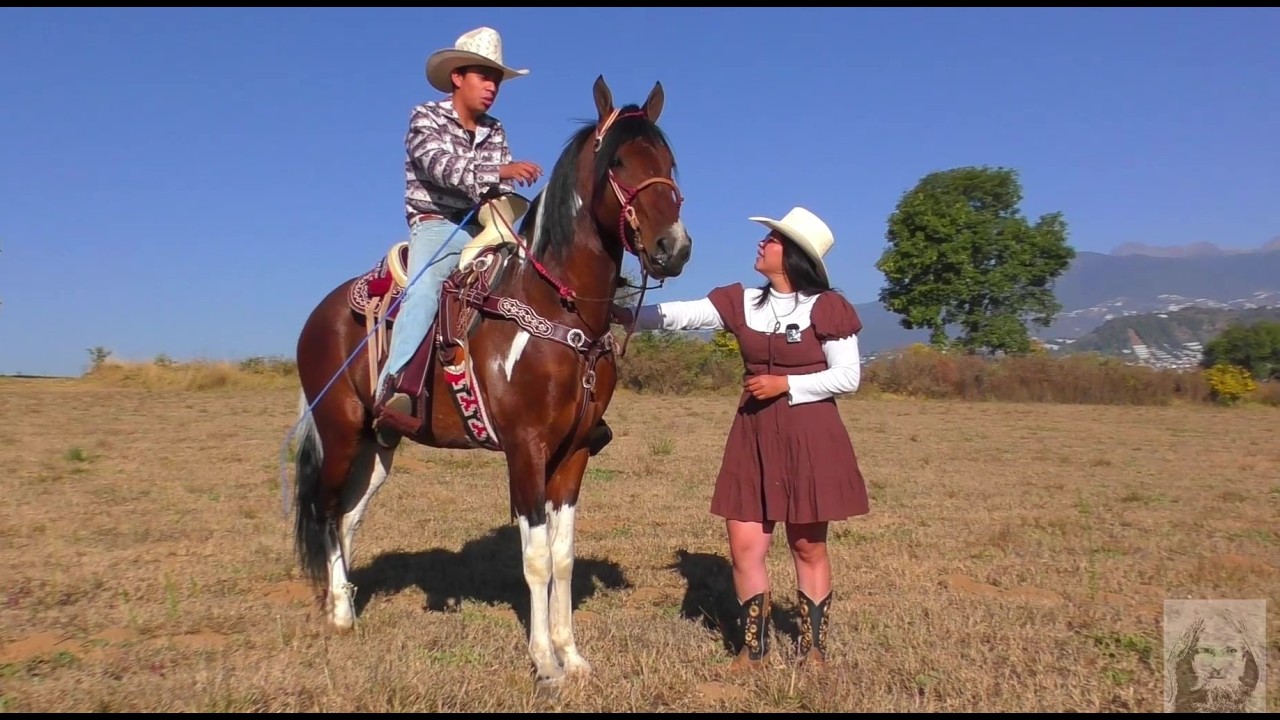¡Increíble! Andry Descubre la Magia del Mercado de Animales: Caballos y Criaturas Épicas!