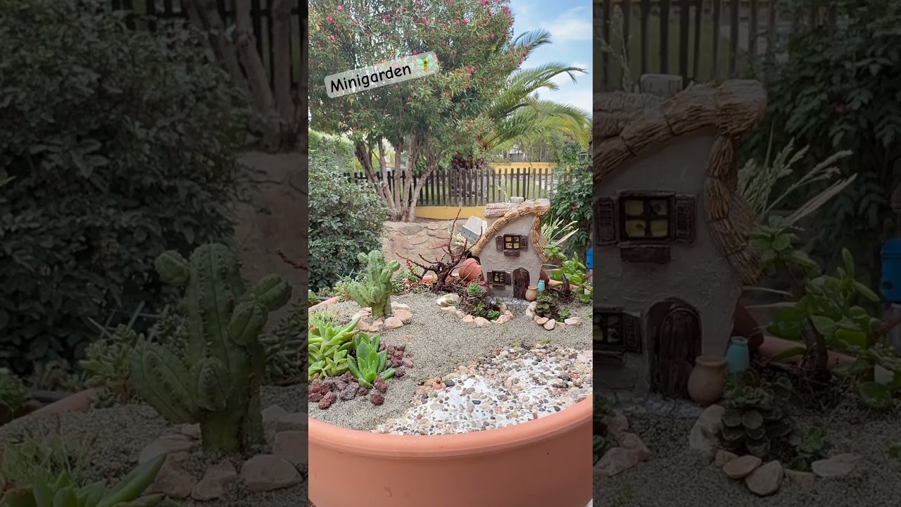 Hice un mini jard&iacute;n en maceta #minigarden #minijardim #mininature #fairygarden