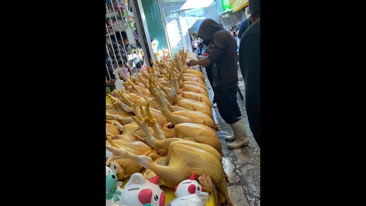 Mexique 14 San Cristóbal de las Casas