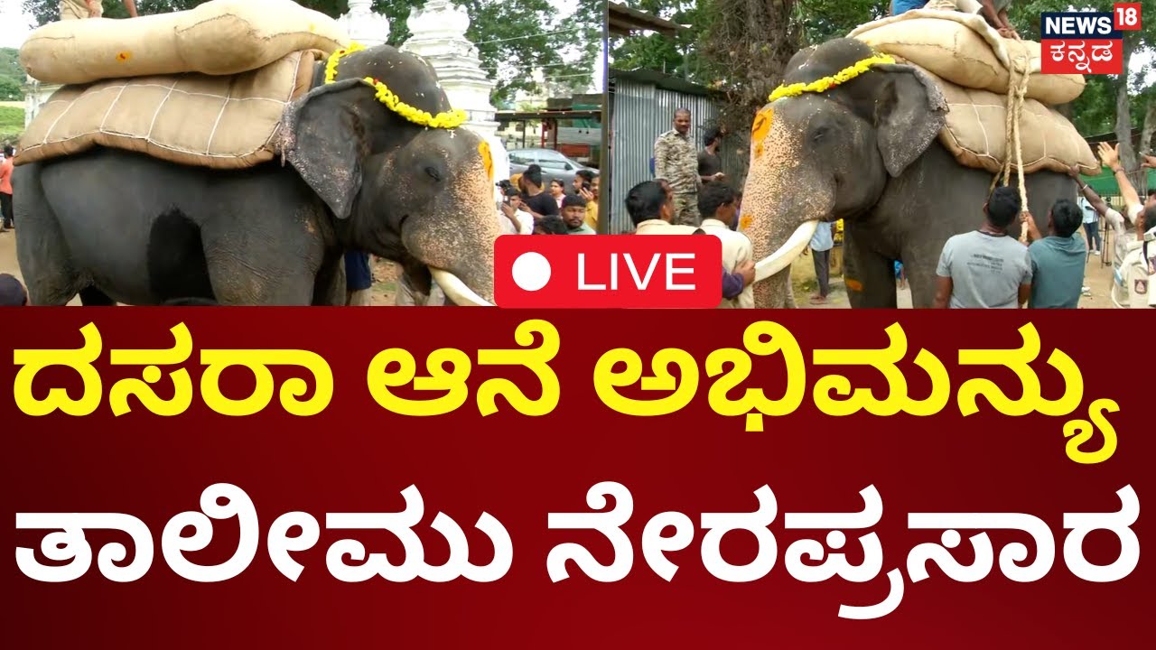 LIVE | Dasara Elephant Abhimanyu Rehersal | Mysuru Dasara 2025 | ದಸರಾ ಆನೆ ಅಭಿಮನ್ಯು ತಾಲೀಮು ನೇರಪ್ರಸಾರ