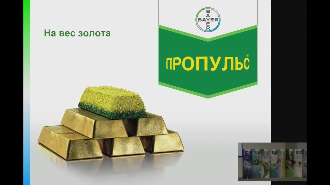Новые продукты компании Байер - Онлайн Полевая Академия Байер 2017