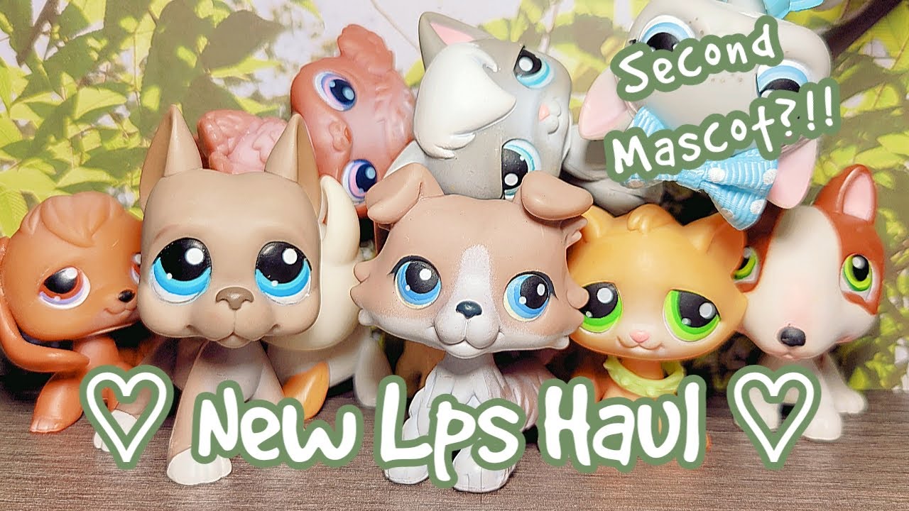 New Lps Haul! Childhood Pets & Dreamies | DieselkoiLps
