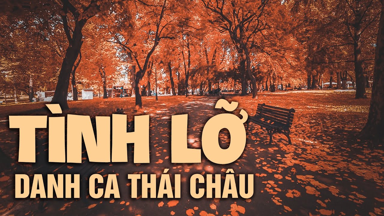 T&igrave;nh Lỡ | Danh Ca Th&aacute;i Ch&acirc;u (st: Thanh B&igrave;nh)