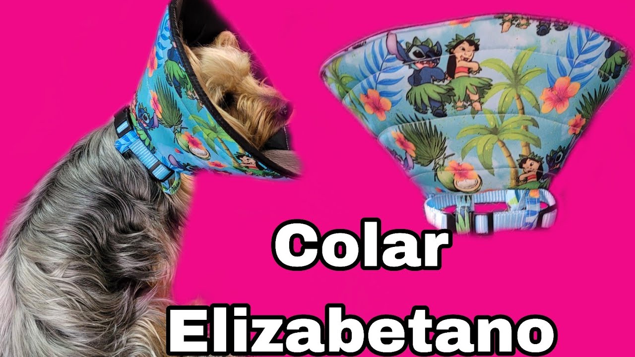 Como fazer colar Elizabetano de Cone para cães e gatos?