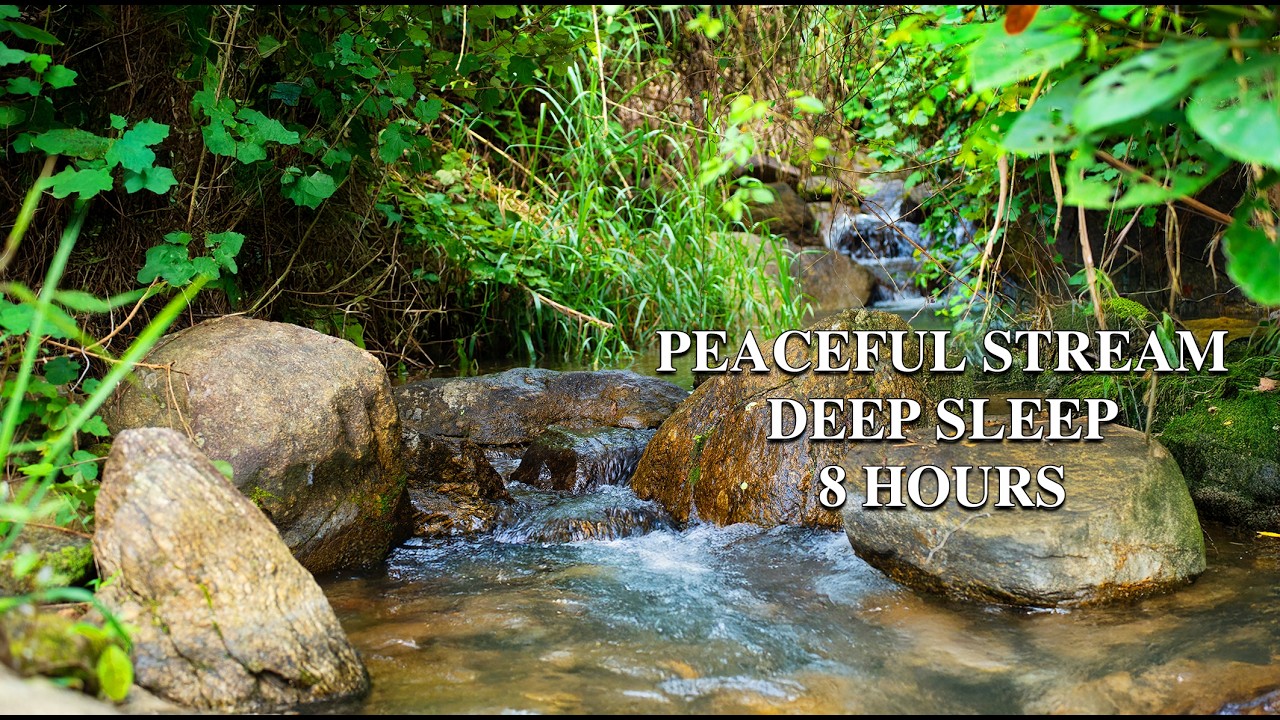 Peaceful Mountain Stream Sounds for Deep Sleep – 8 Hours of Flowing Water