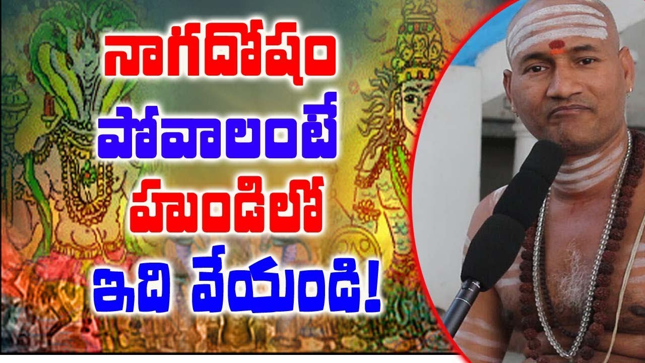 నాగదోషం  పోవాలంటే హుండిలో ఇది వేయండి||NAGADOSHA NIVARANA PARIHARAM  ||SNCIKY TV