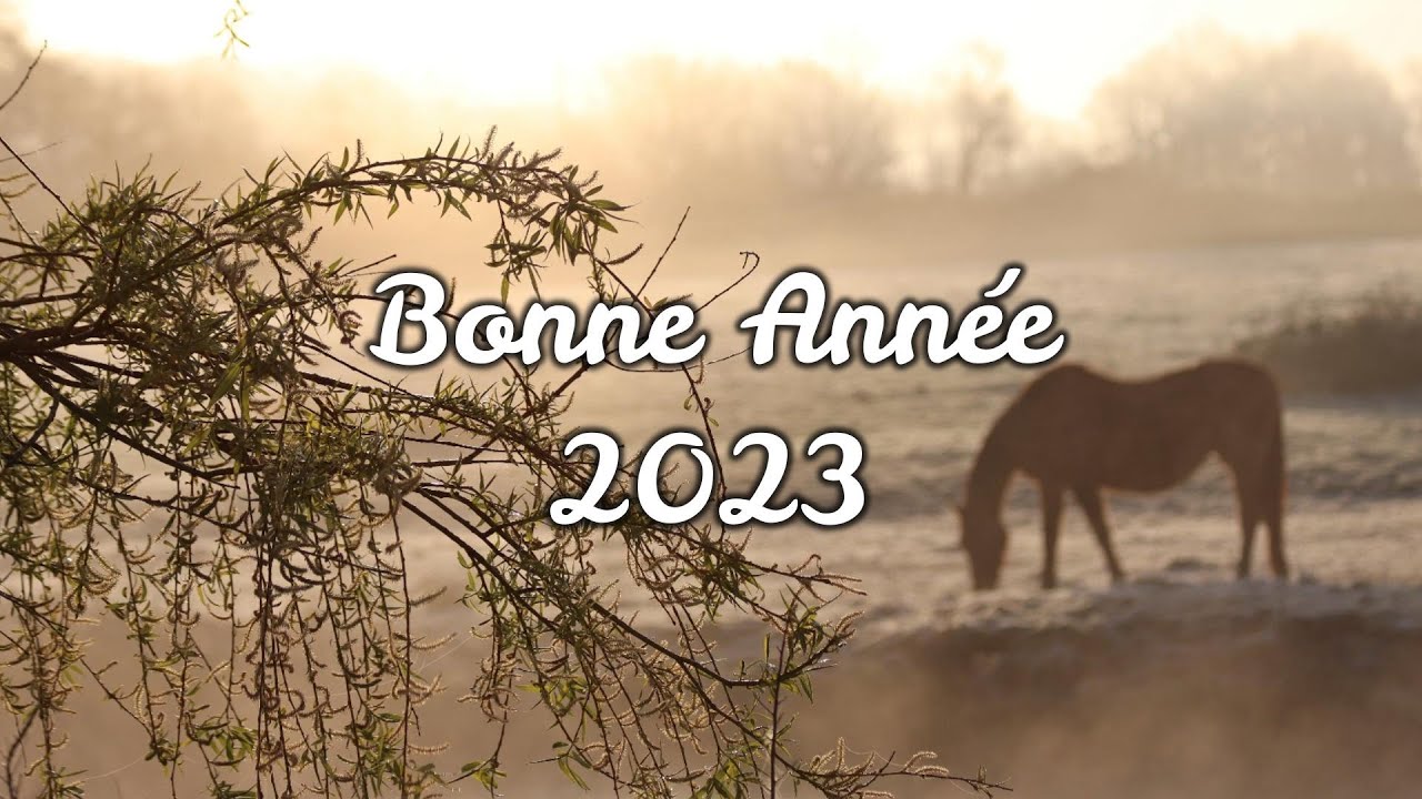 Bonne année 2023 !!!