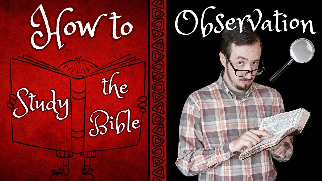 Observation in Bible Study | How to Study the Bible (#3)