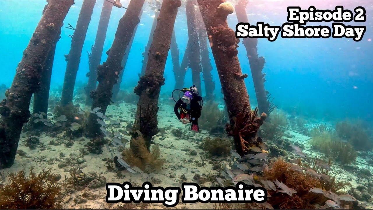 Getting Salty | Salt Pier, Invisibles, 1000 Steps | Diving Bonaire '24 Ep 2