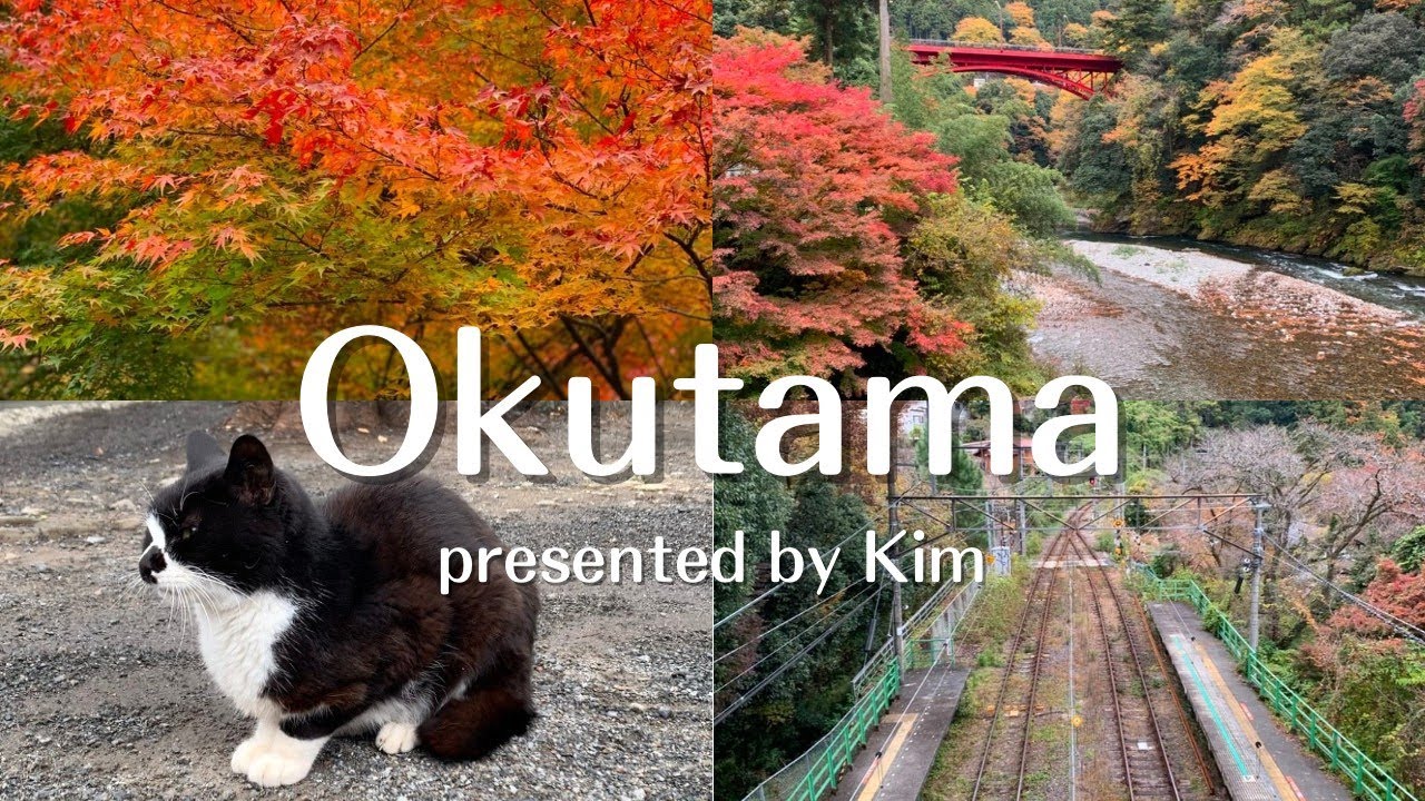 秋の奥多摩で紅葉巡り【Vlog】