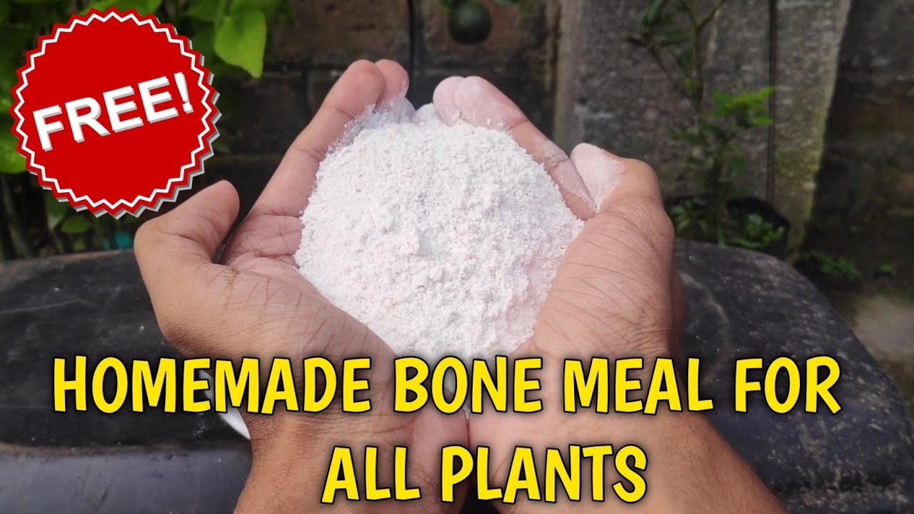 Ghar Per Free Mein Bone Meal Kaise Banaen (Substitute) How To Make Bone Meal At Home | Free | Hindi