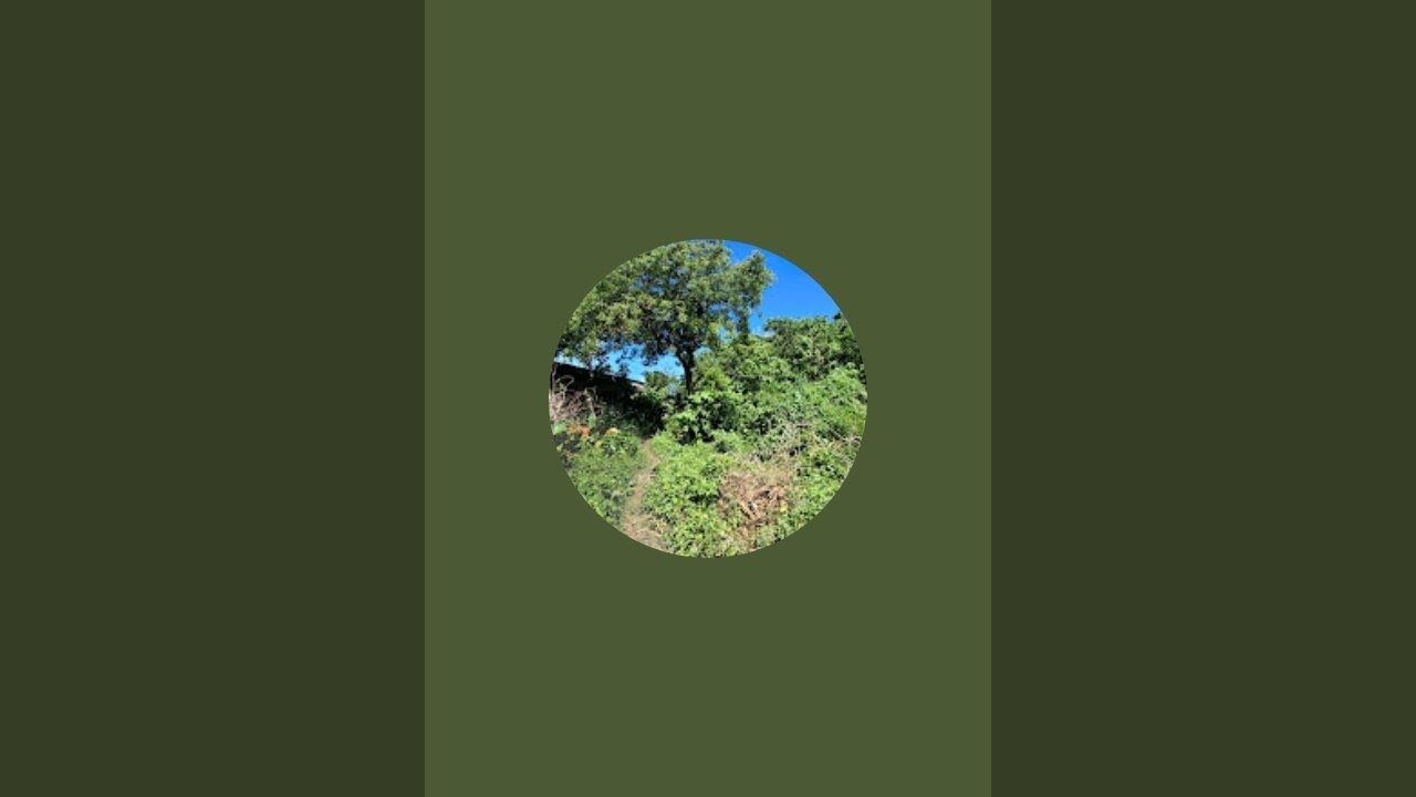 Ar yann is live