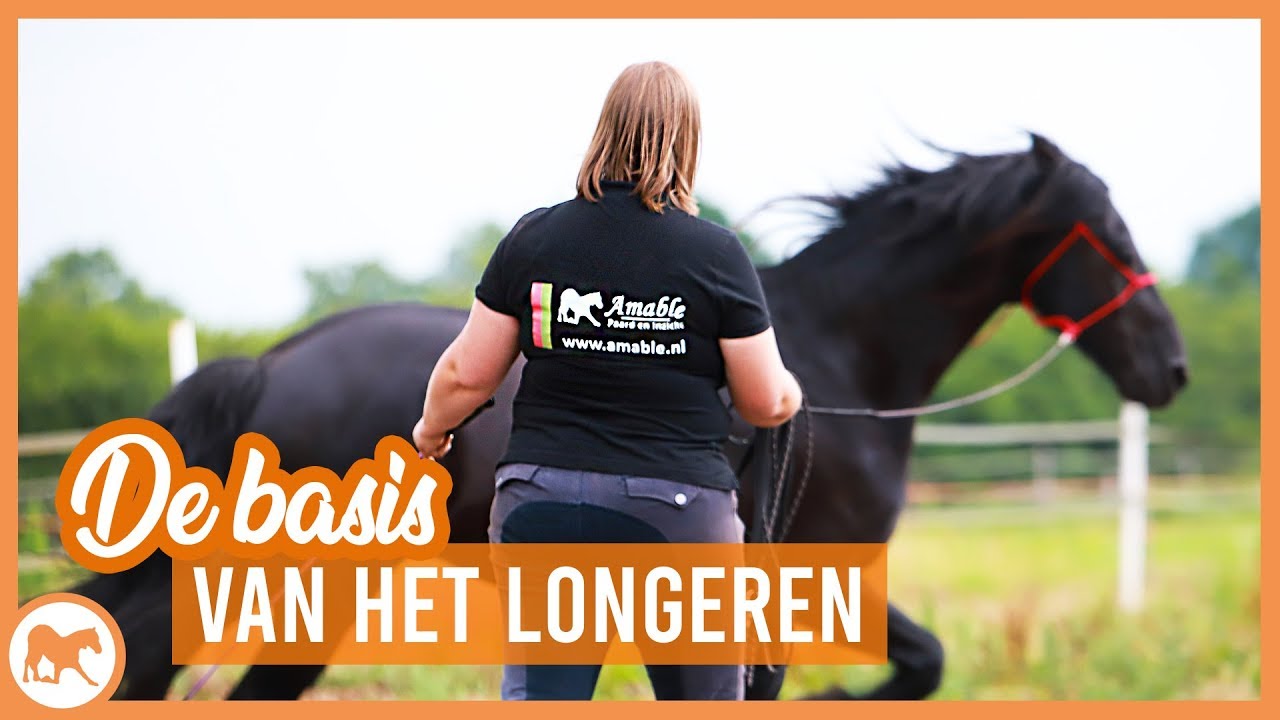 Hoe longeer je een paard?
