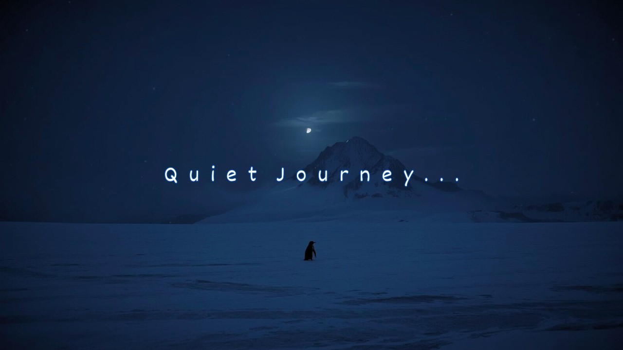 The Quiet Journey of a Little Penguin