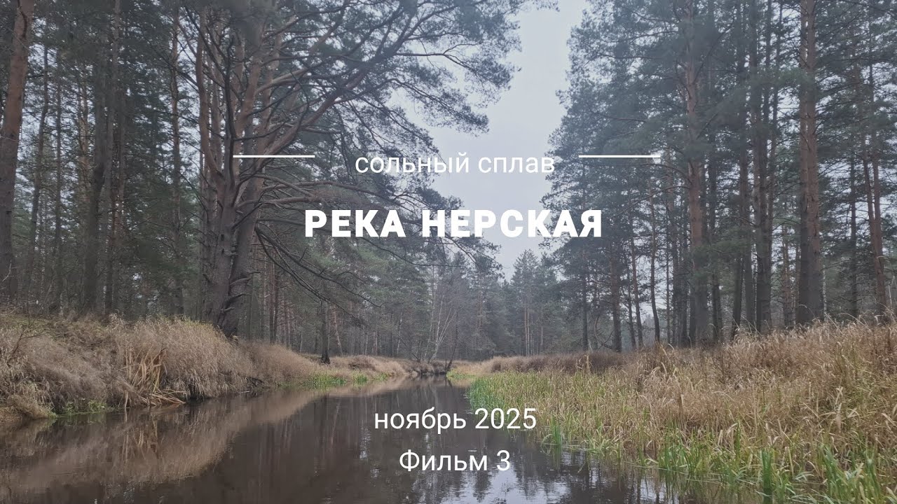 Сплав по реке Нерская. Прохожу бобровые завалы.