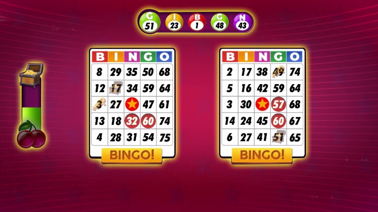 Bingo - Offline Board Game