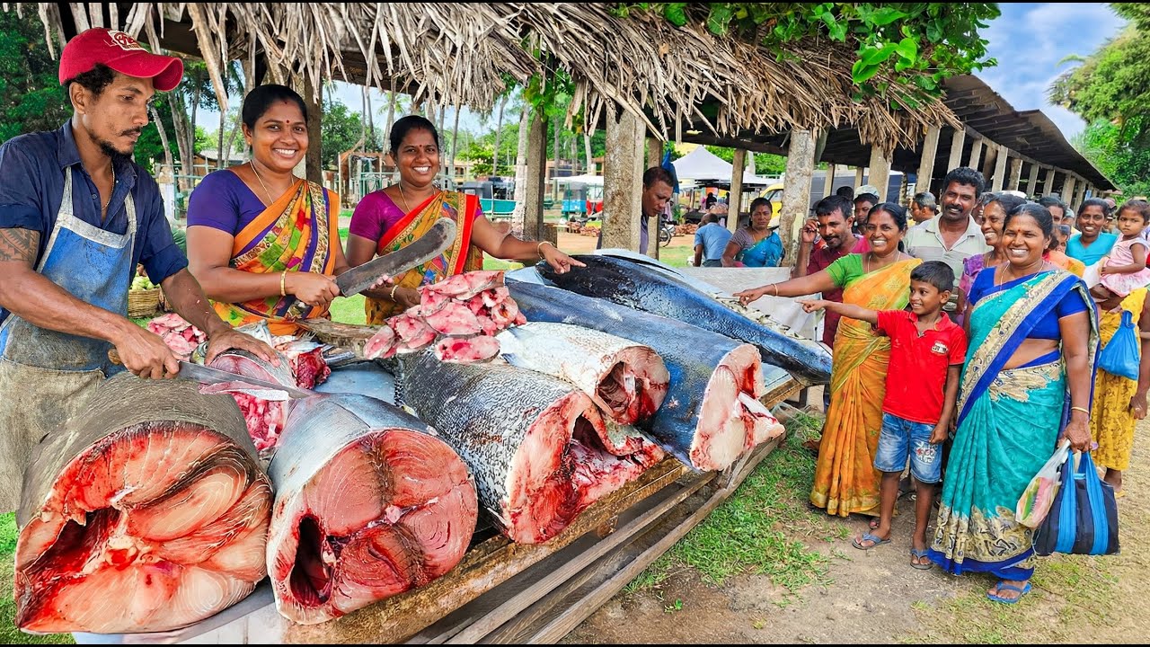 Wow! Village Fish Market The Lifecycle of a Sri Lankan Fisherman's Family Journey