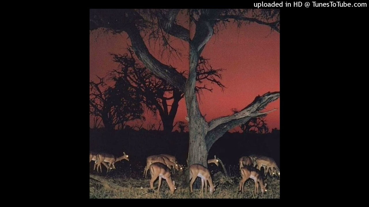 amir x redda x omni type beat prod by @DestroyKraig x @Korer4nyk