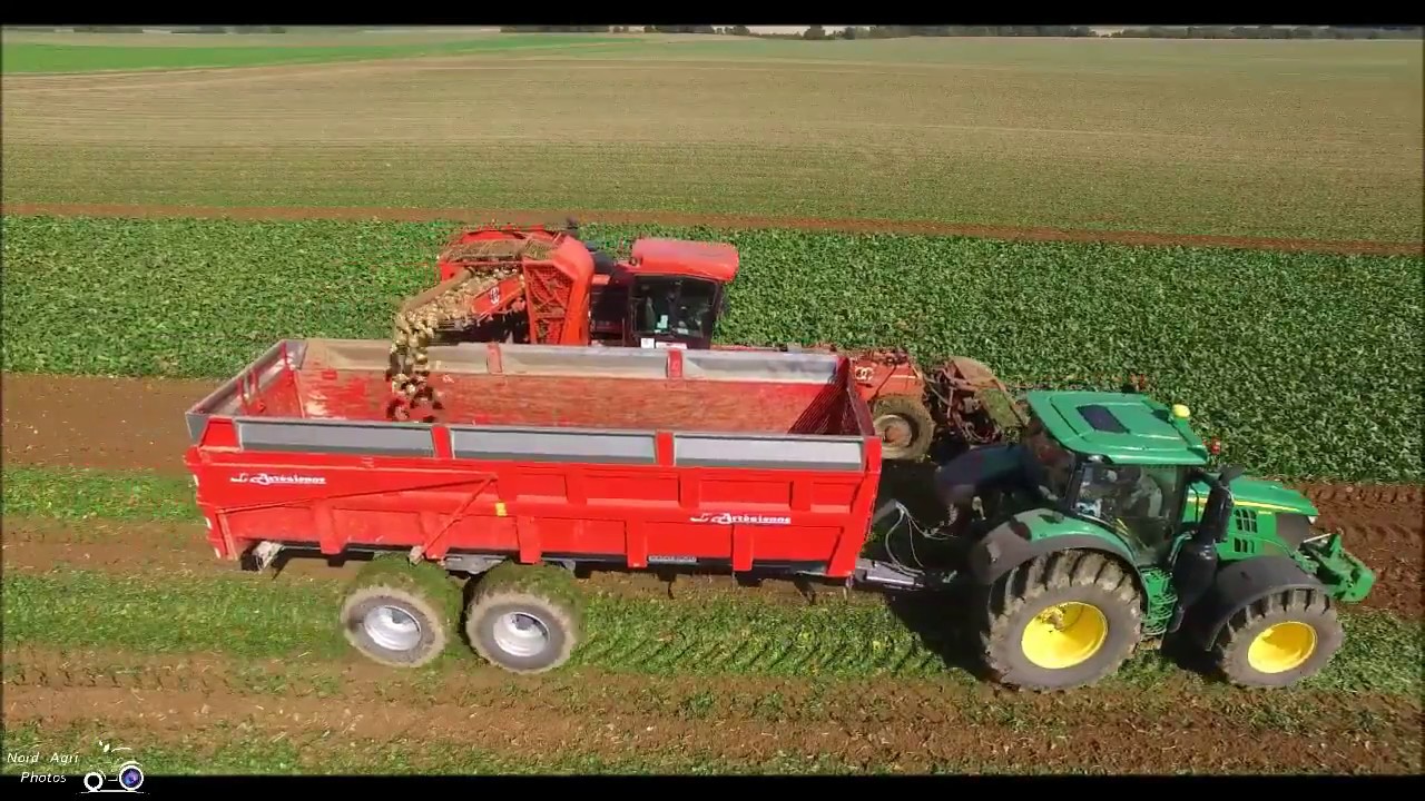 Arrachage betteraves 2017. Ardennes. Matrot M41 Massey 7624 benne l'artesienne John deere 6215r.
