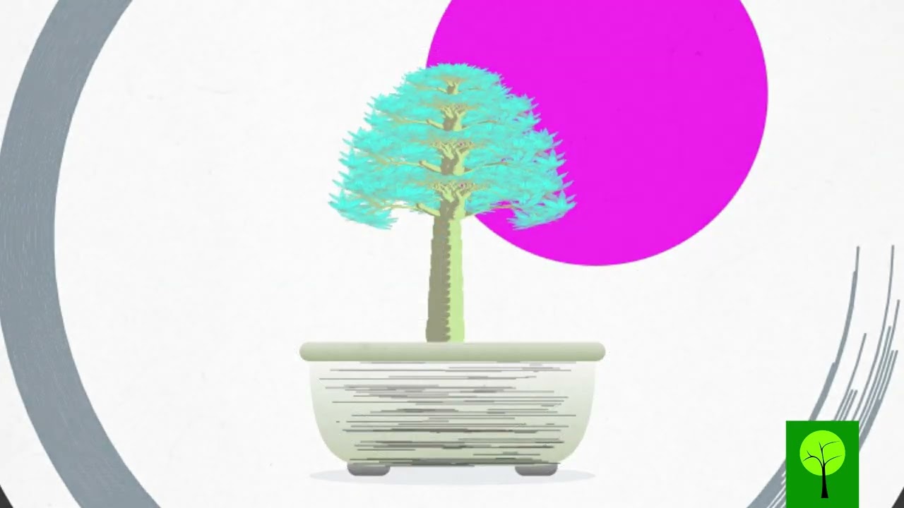 CardanoTrees - CT Bonsai Collection / Hokidachi Style