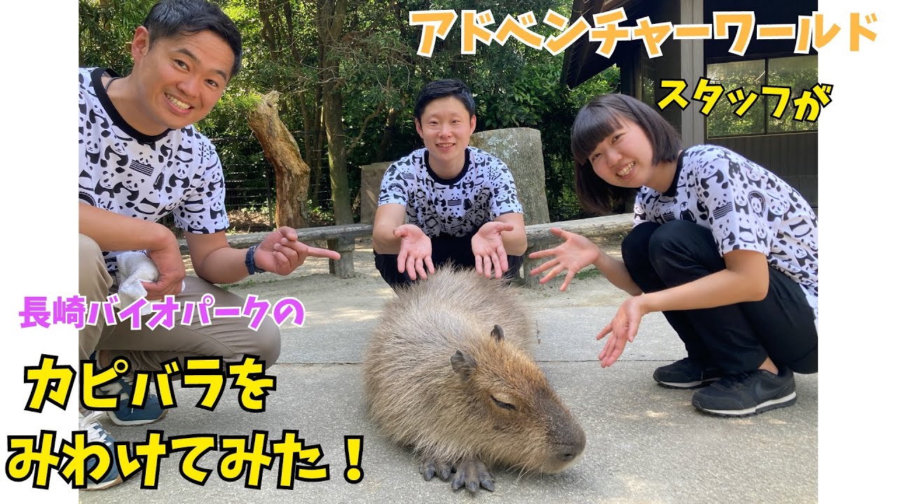 長崎バイオパークのカピバラたちをアドベンチャーワールドのスタッフが見分けてみた！