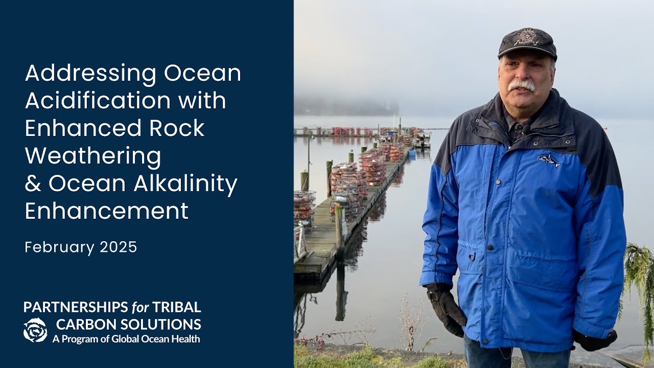 Addressing Ocean Acidification with Enhanced Rock Weathering & Ocean Alkalinity Enhancement