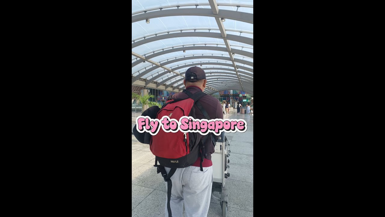 Our Flight To Singapore