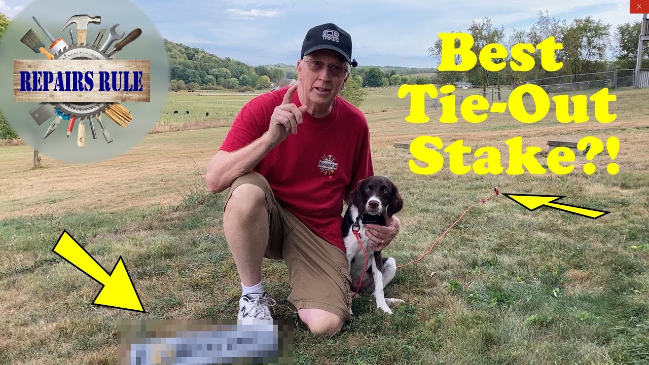This May Be the Best Tie Out Stake for Dogs Ever Made!