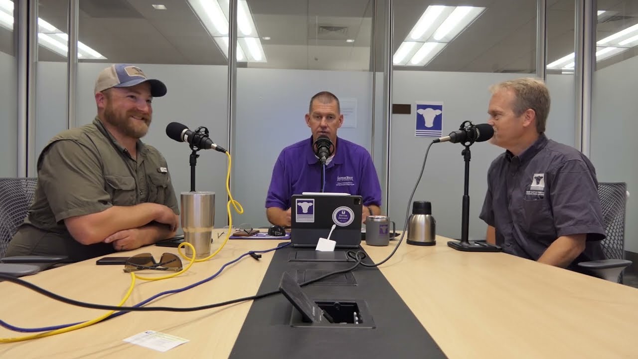 BCI Ask the Experts - Castration at Weaning: Surgical vs. Banding