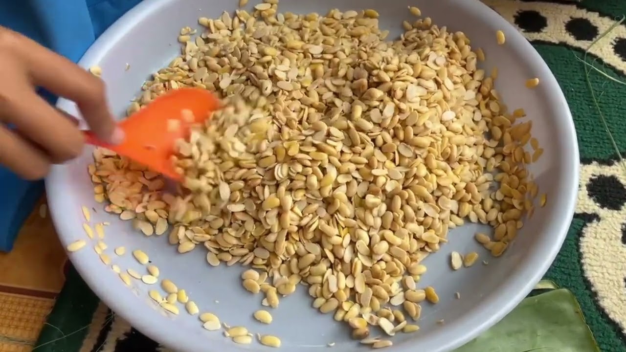 BIOTEKNOLOGI PEMBUATAN TEMPE DARI KEDELAI IMPOR DAN LOKAL      XIID(KELOMPOK 4)