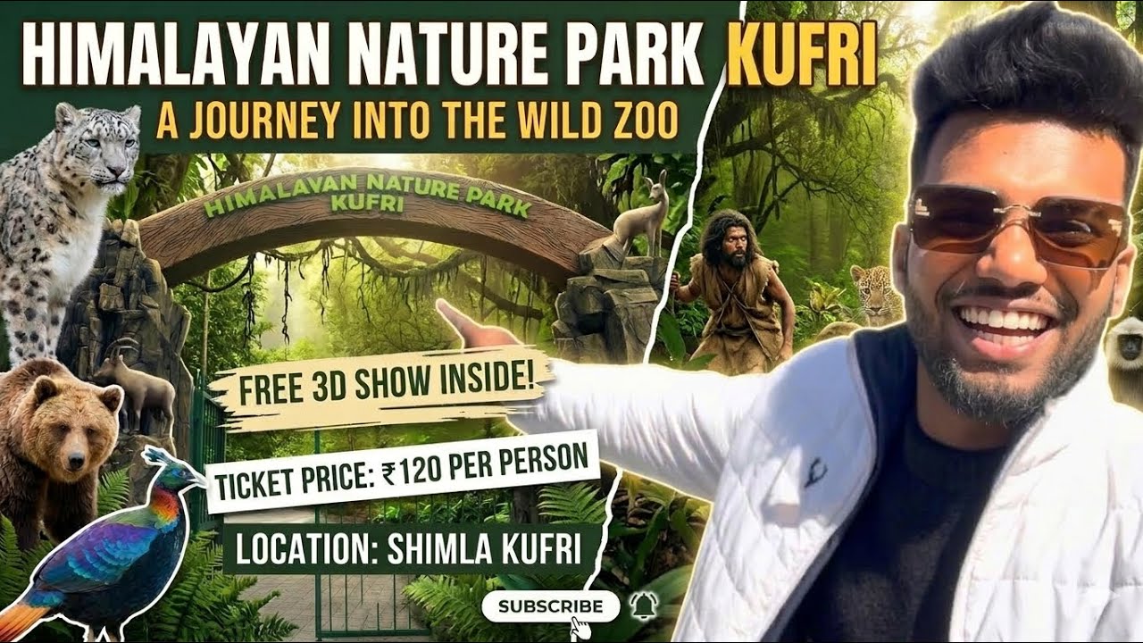 Himalayan Nature Park Kufri Zoo | Shimla Kufri Tour Guide 2026 🏔️🐾 Entry Fee & Best Time to Visit 🐯