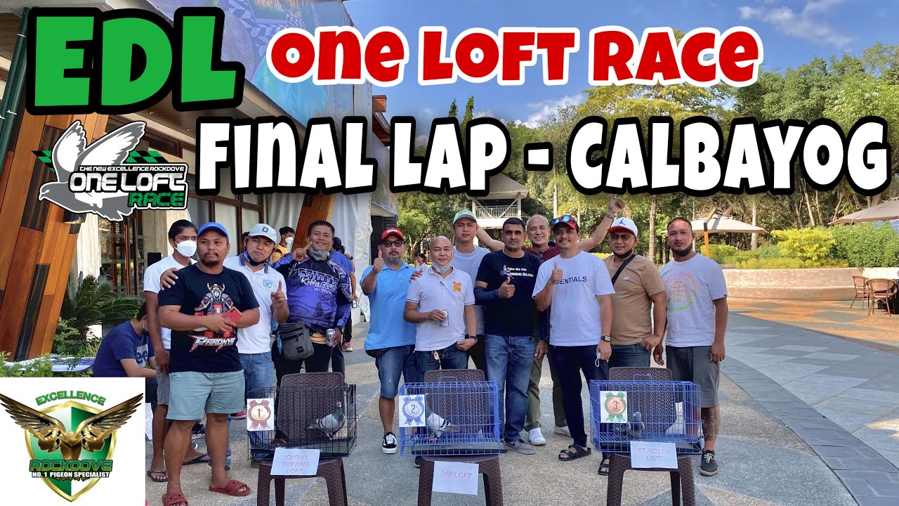 EDL ONE LOFT RACE, FINAL LAP -  CALBAYOG |Reggie Cruz Loft & Aviary #reggiecruzloftandaviary #olr