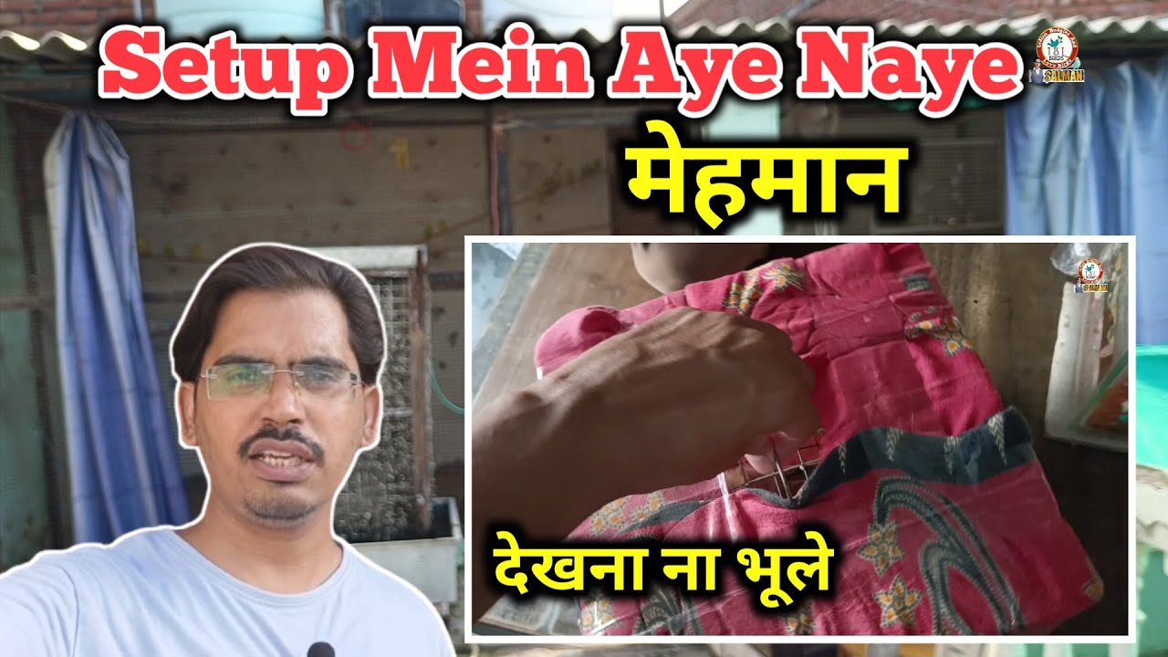 Bird Setup में Aye New मेहमान | Dekhna Na भूलें