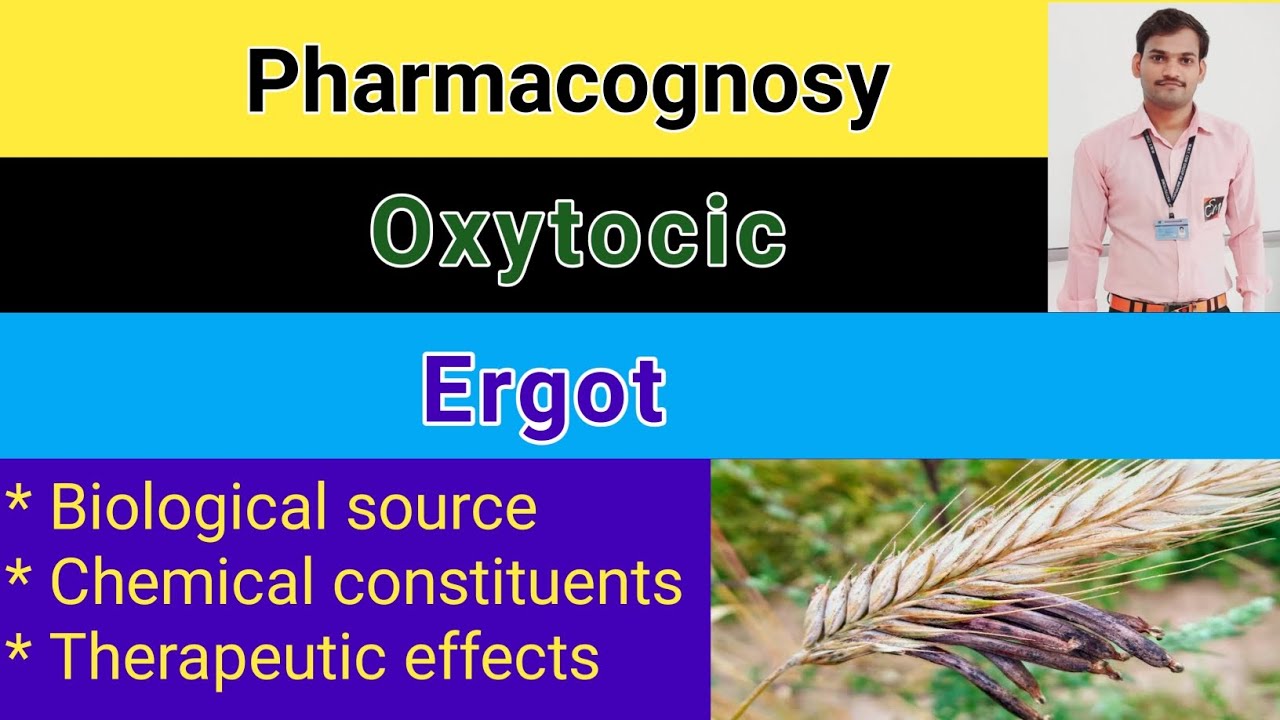 #pharmacognosy chapter -5 Oxytocic drugs biological source of Ergot fungus #drpharmacyprayagraj