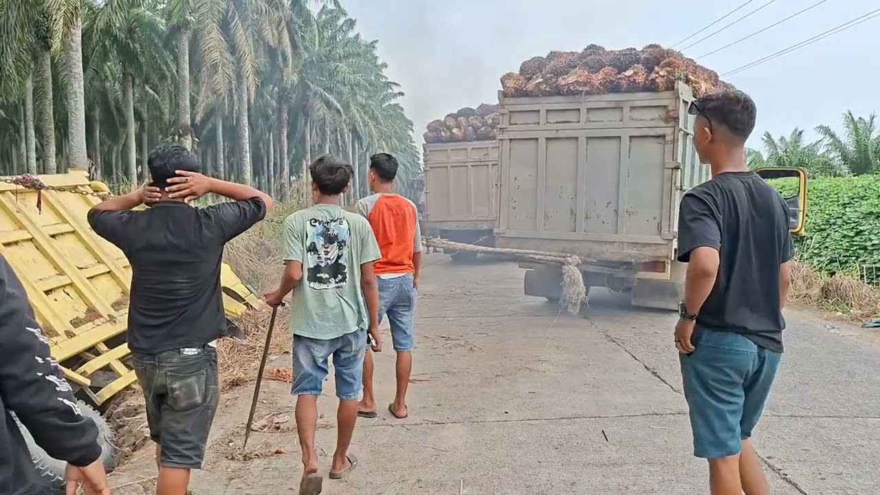 Evakuasi menegangkan gunakan truk sawit dua unit supir keluar keringat dingin