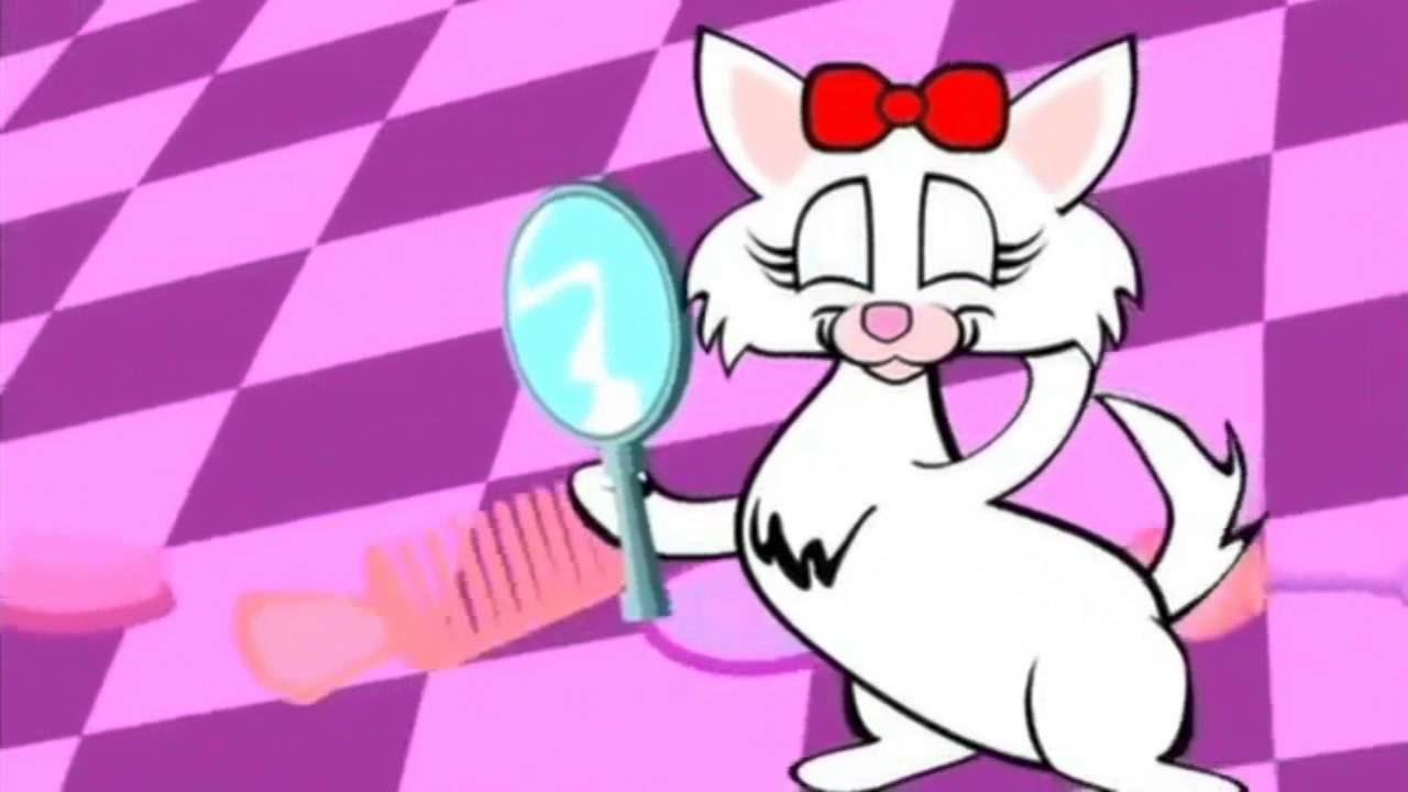 A GATINHA