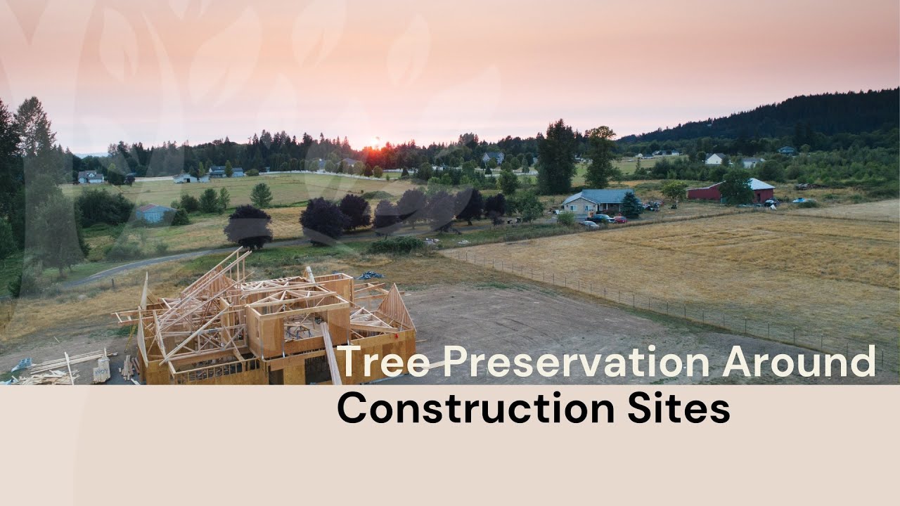 Strategies for Tree Preservation Around Construction Sites 💥 Construction Stress (Plan and Preserve)