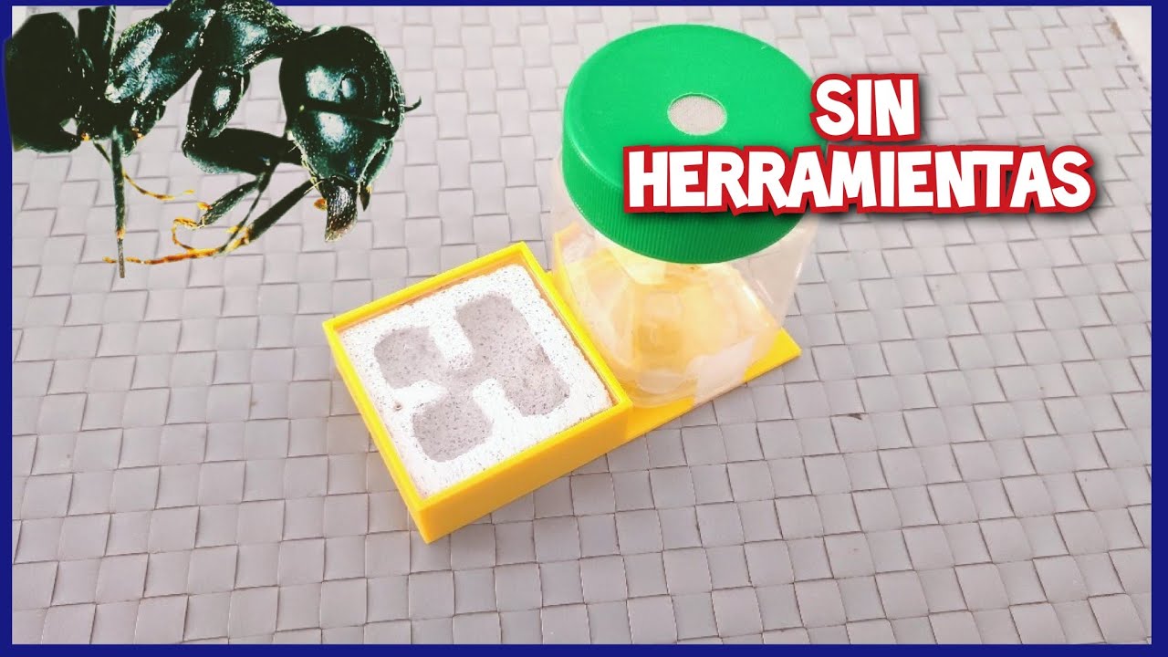 HORMIGUERO CASERO FÁCIL Y EFECTIVO | Cómo criar hormigas de forma sencilla