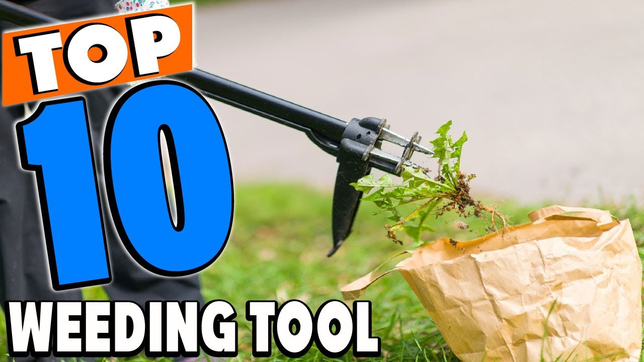 Top 10 Best Weeding Tools Review In 2025