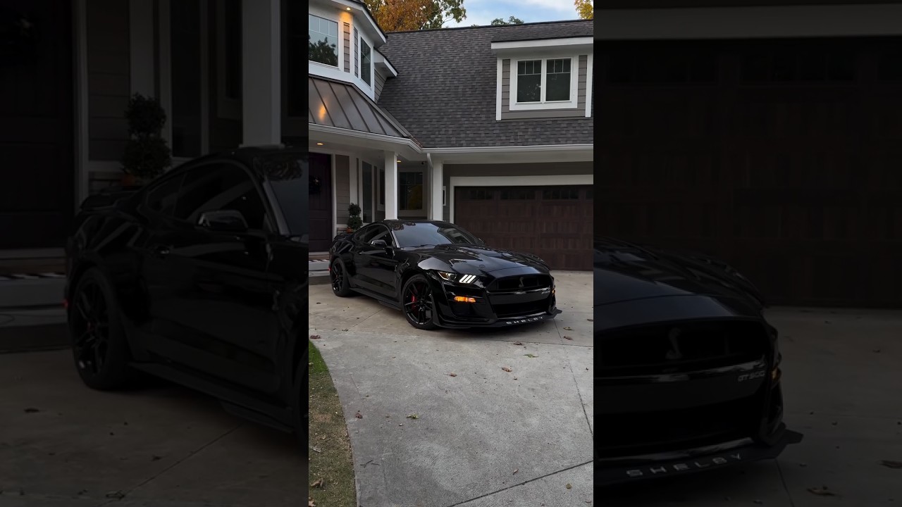 Black Shelby | Mustang Shelby Gt500