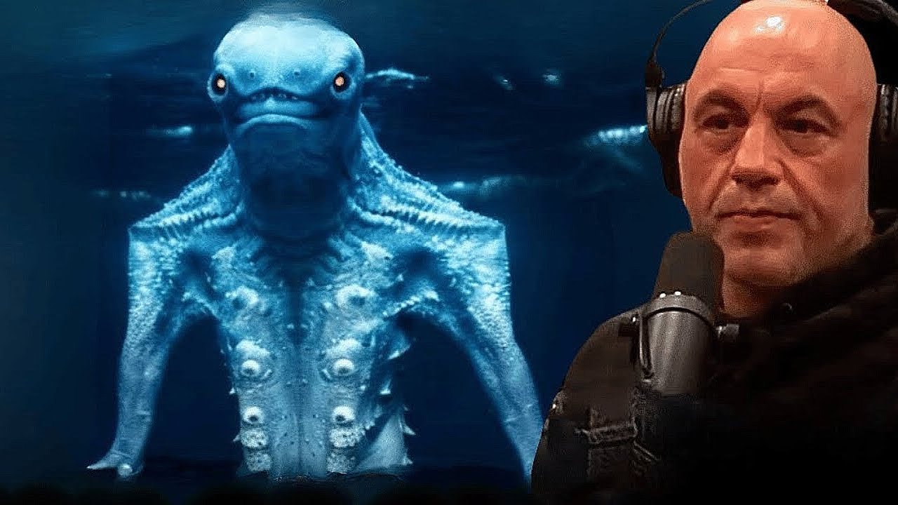 Joe Rogan m&oacute;wi nam co marynarka wojenna zobaczyła podczas nurkowania w oceanie