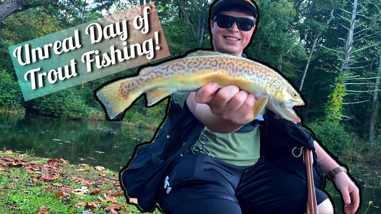 PHENOMENAL Day of TROUT FISHING at DOUTHAT STATE PARK!
