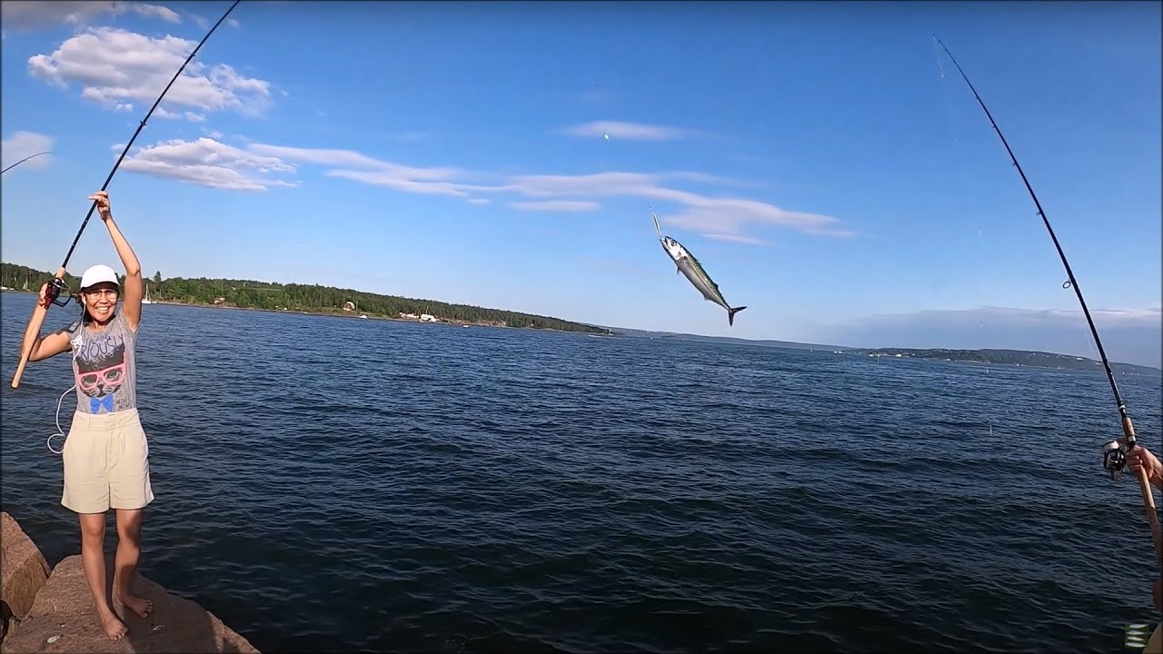 Litt makrell fiske ved Lysaker Oslo Norge / Mackerel fishing from the shore (At Lysaker, Oslo) 2020