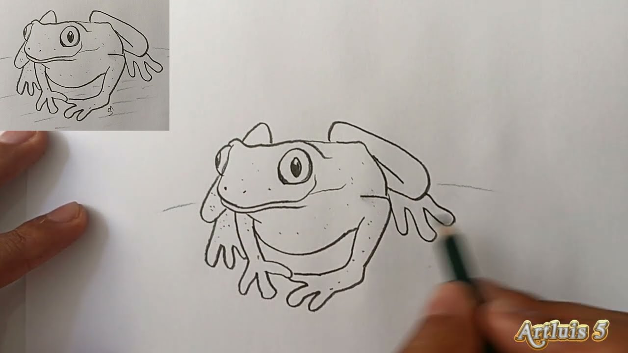 como desenhar um sapo