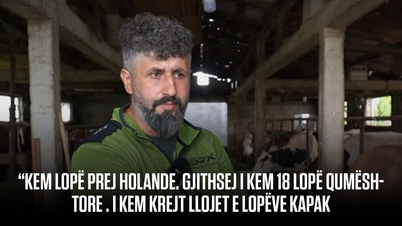 “Kem lopë prej Holande. Gjithsej i kem 18 lopë qumështore . I kem krejt llojet e lopëve kapak