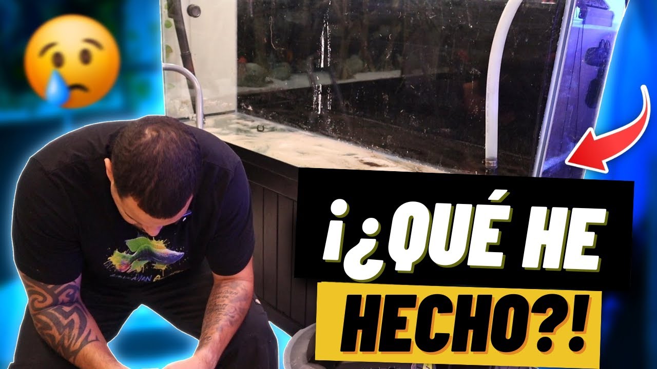 ¡Mi Acuario de 150 Galones Necesitaba Este ENORME Cambio!