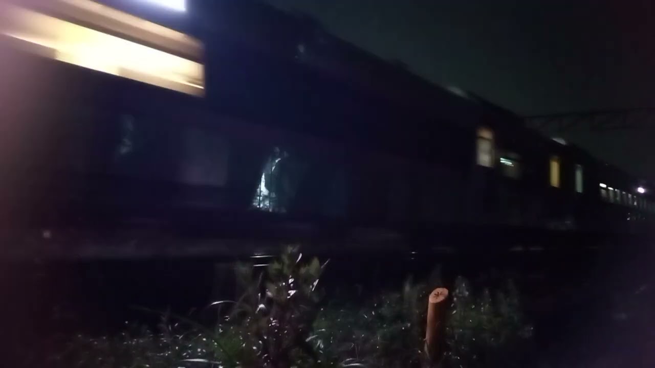 CC 2018354 PWT Kereta Tegal Bahari ka 203