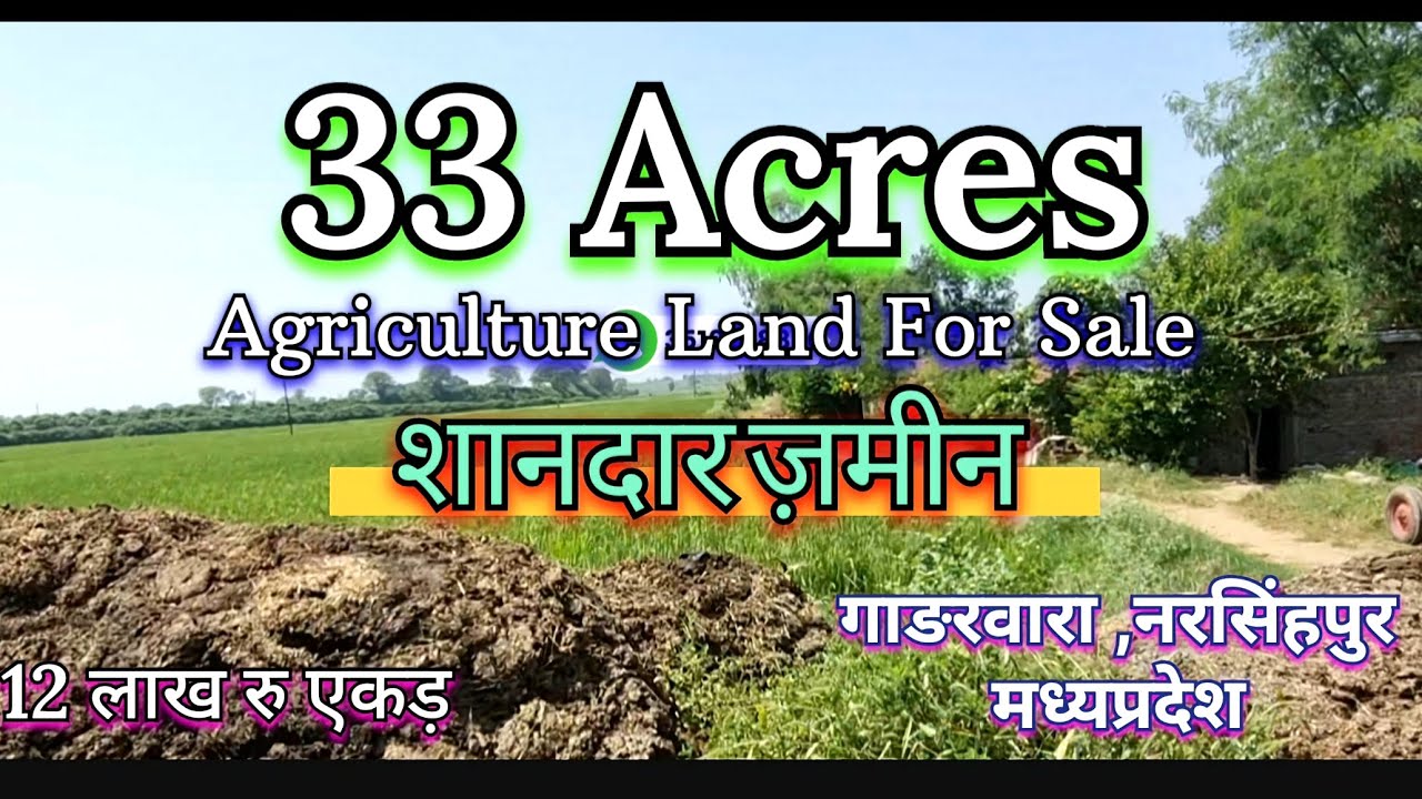33 Acres Agriculture Land For Sale In Gadarwara Narsinghpur Madhya Pradesh #farmland #agriculture