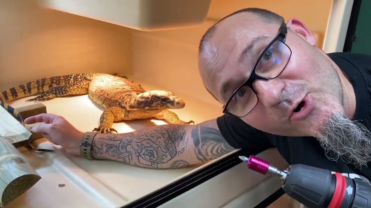 Je construis un terrarium géant en utilisant des Herptek pour mon varan 2Pac (Varanus cumingi)