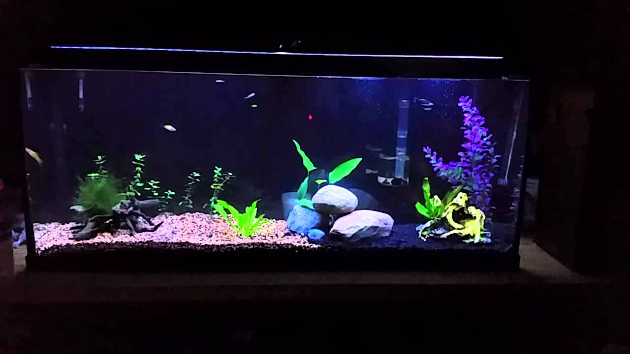 Currentusa freshwater light